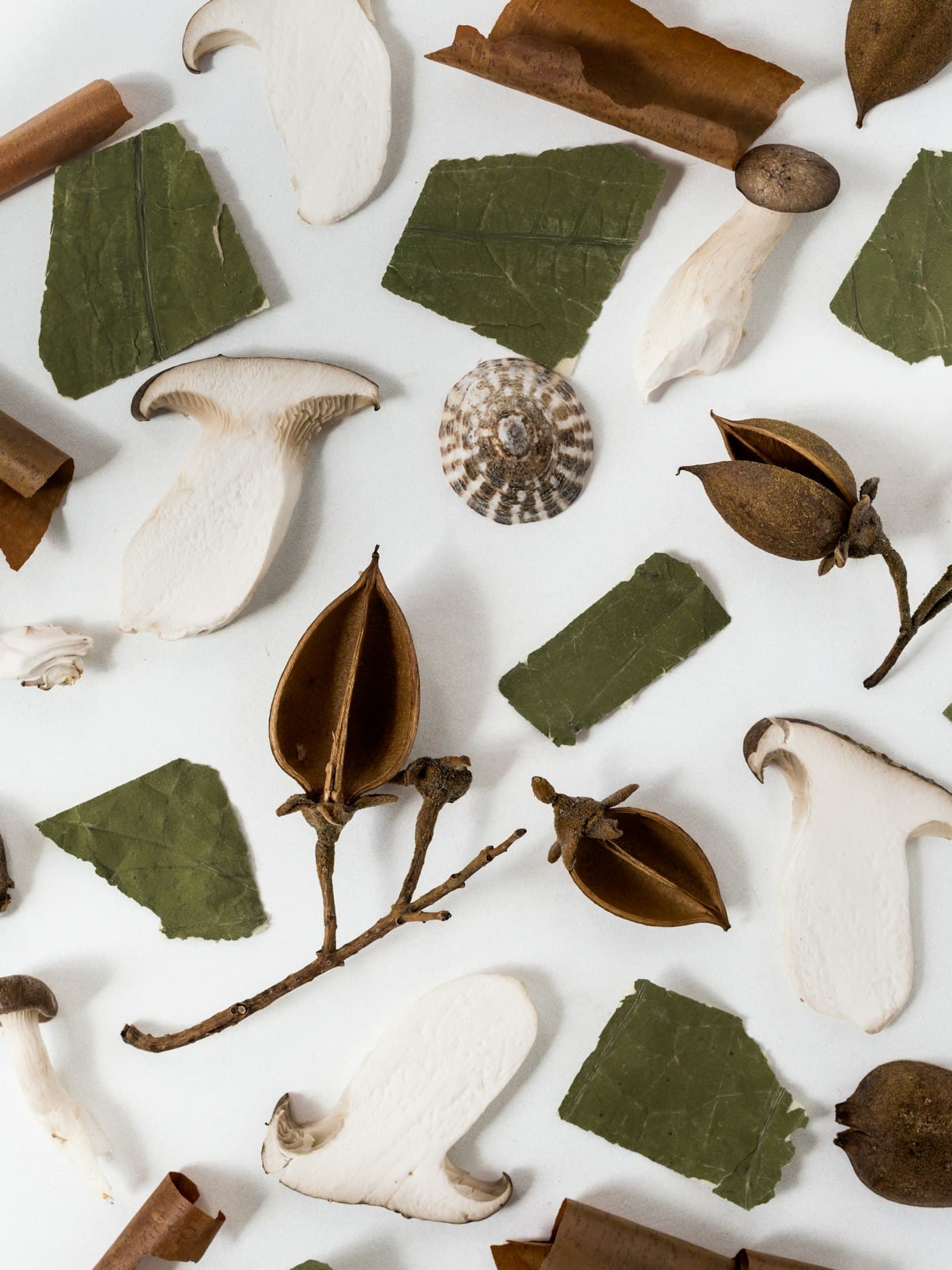 Clean, well-known ingredients